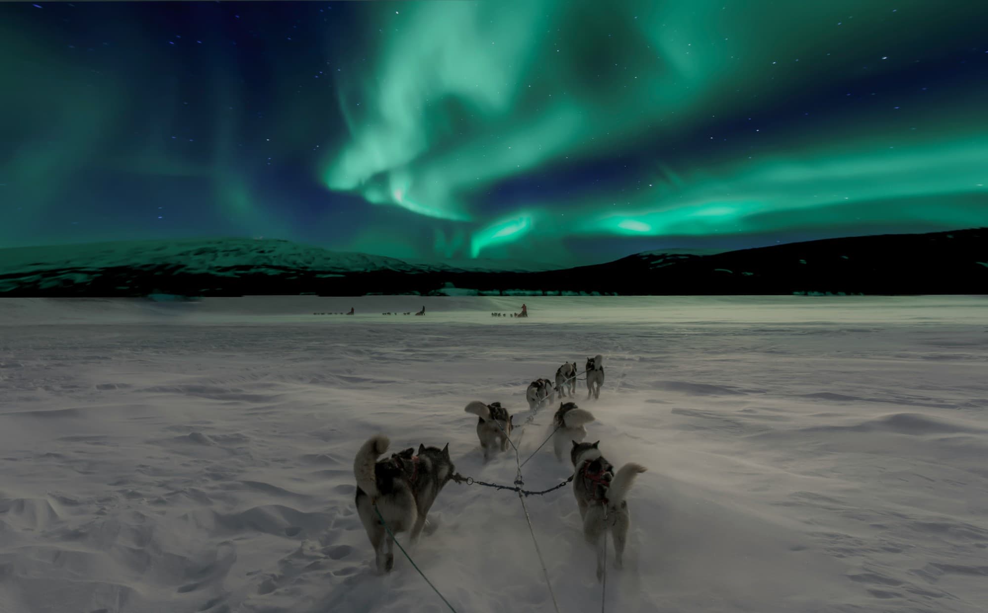 Arctic Winter